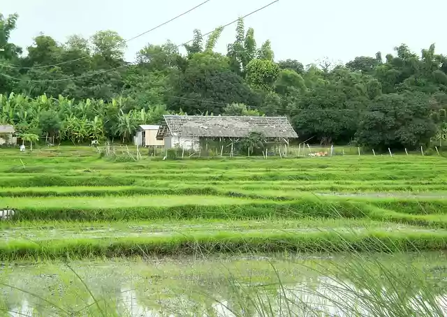 Free download philippines la union old farm free picture to be edited with GIMP free online image editor
