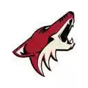 Phoenix Coyotes Browser Theme  screen for extension Chrome web store in OffiDocs Chromium