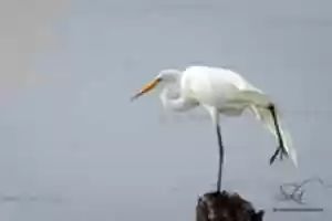 Free download Photo Batch 9/18/18 free photo or picture to be edited with GIMP online image editor