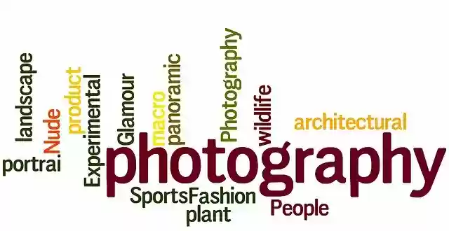 Free download Photography Photograph -  free illustration to be edited with GIMP free online image editor
