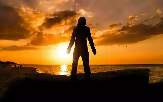 Free download Photoshop Lion Sunrise -  free illustration to be edited with GIMP free online image editor