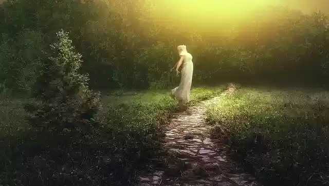 Free download Photoshop Manipulation Fantasy -  free free photo or picture to be edited with GIMP online image editor