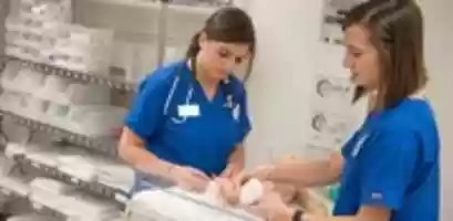 Free download Physical Therapist Assistant free photo or picture to be edited with GIMP online image editor
