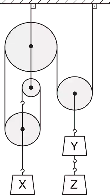 Free download Physics Balance Reel - Free vector graphic on Pixabay free illustration to be edited with GIMP free online image editor