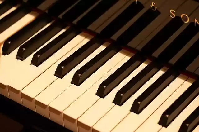 Free download Piano Pianist Music Musical -  free photo or picture to be edited with GIMP online image editor