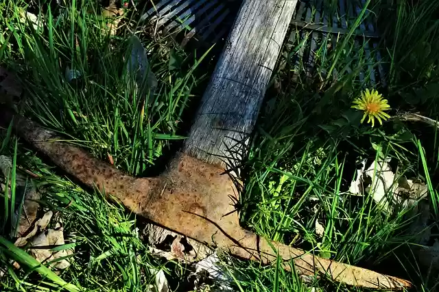 Free download pickaxe axe tool garden meadow free picture to be edited with GIMP free online image editor