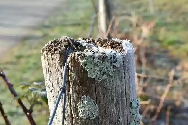 Bezpłatne pobieranie darmowego szablonu zdjęć Picket Closing Wood do edycji za pomocą internetowego edytora obrazów GIMP