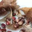 Pick up chestnuts  screen for extension Chrome web store in OffiDocs Chromium