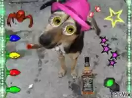 Free download picmix.com_3539190 free photo or picture to be edited with GIMP online image editor