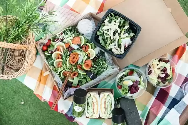 Free download picnic diet plate free picture to be edited with GIMP free online image editor