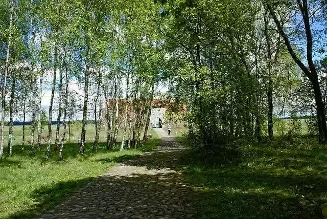 Free download Picnic Green Way -  free free photo or picture to be edited with GIMP online image editor