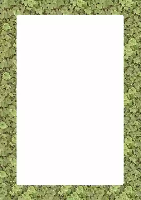 Free download Picture Frame Outline -  free illustration to be edited with GIMP free online image editor