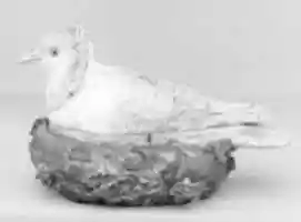 Free download Pigeon box free photo or picture to be edited with GIMP online image editor