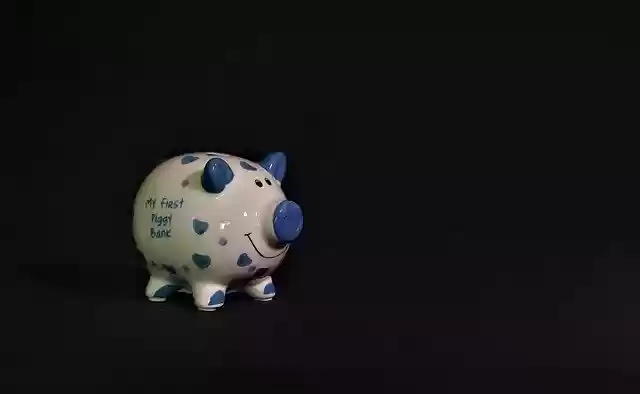 Free download Piggy Bank Savings Cash -  free photo or picture to be edited with GIMP online image editor