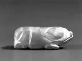 Free download Pig in Crouching Position free photo or picture to be edited with GIMP online image editor