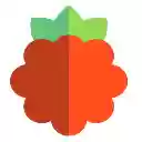 PiHole Browser Extension  screen for extension Chrome web store in OffiDocs Chromium