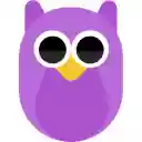 PII owl  screen for extension Chrome web store in OffiDocs Chromium