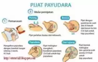 Free download pijat-payudara free photo or picture to be edited with GIMP online image editor