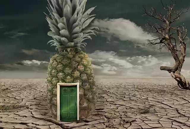 Free download Pineapple Desert Sponge Bob -  free photo or picture to be edited with GIMP online image editor
