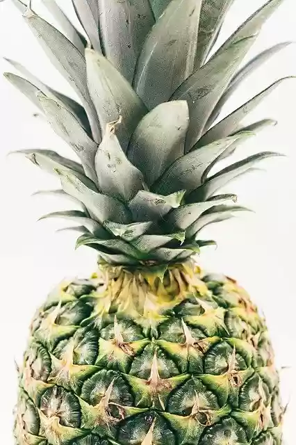 Free download Pineapple Green Pine -  free illustration to be edited with GIMP free online image editor