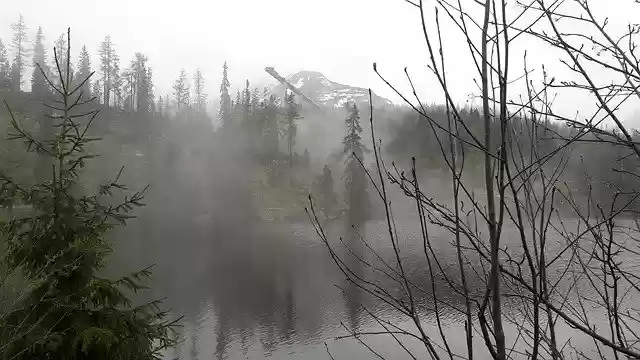 Free download Pine Lake Fog -  free photo template to be edited with GIMP online image editor