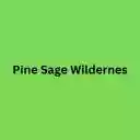 Pine Sage Wilderness  screen for extension Chrome web store in OffiDocs Chromium
