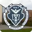 Pingry Today  screen for extension Chrome web store in OffiDocs Chromium