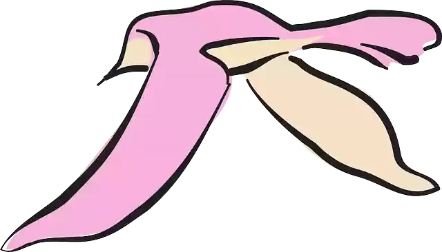 Free download Pink Bird Flying - Free vector graphic on Pixabay free illustration to be edited with GIMP free online image editor