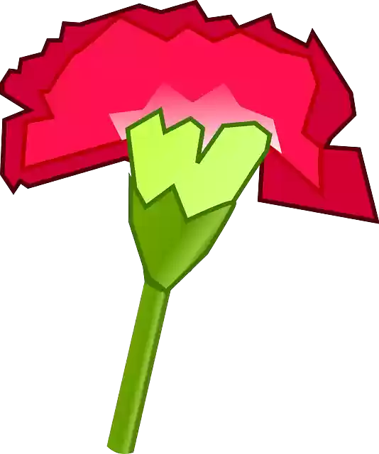 Free download Pink Carnation Flower Plant - Free vector graphic on Pixabay free illustration to be edited with GIMP free online image editor