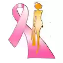 Pink Runway  screen for extension Chrome web store in OffiDocs Chromium