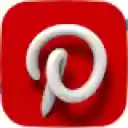 Pinterest Video Bulk Downloader HD Video and Images  screen for extension Chrome web store in OffiDocs Chromium
