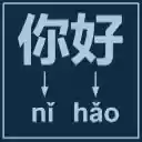 Pinyin Generator  screen for extension Chrome web store in OffiDocs Chromium