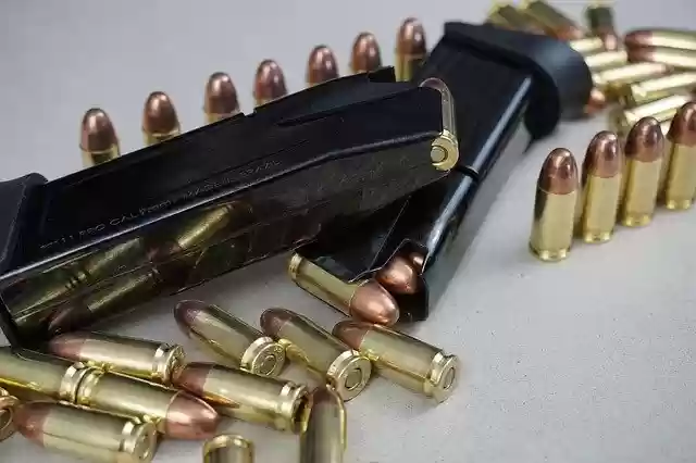 Free download pistol gun self defense weapon free picture to be edited with GIMP free online image editor