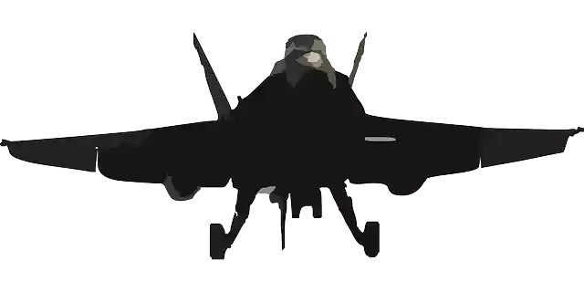 Free download Plane Fighter Jets Navy - Free vector graphic on Pixabay free illustration to be edited with GIMP free online image editor