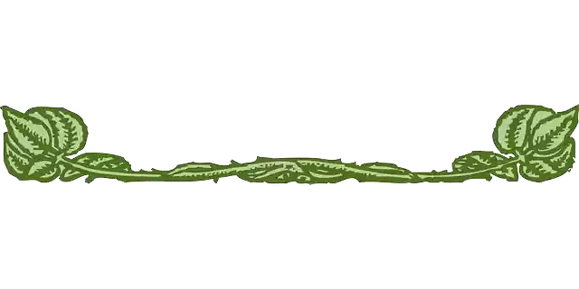 Free download Plant Decoration Border - Free vector graphic on Pixabay free illustration to be edited with GIMP free online image editor