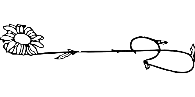 Darmowe pobieranie Roślin Kwiat Stokrotka Czarno - Darmowa grafika wektorowa na Pixabay darmowa ilustracja do edycji za pomocą GIMP darmowy edytor obrazów online