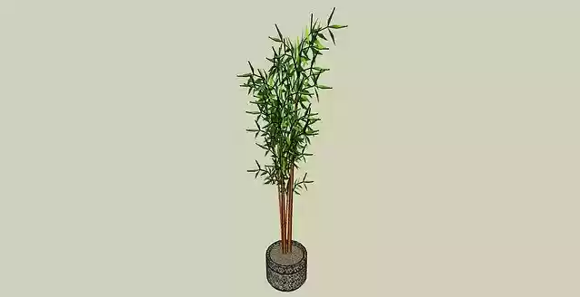 Free download Plant House Home -  free illustration to be edited with GIMP free online image editor