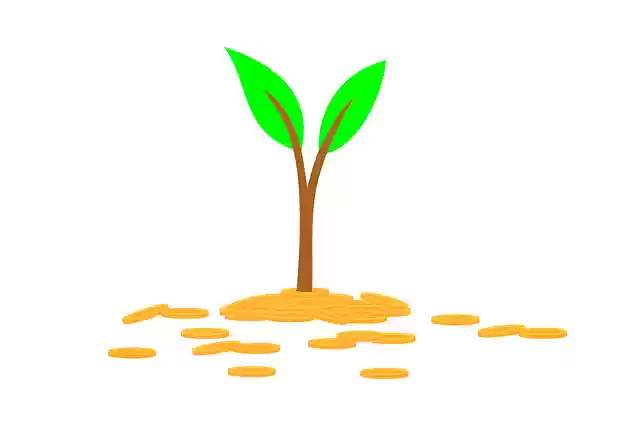 Free download Plant Invest MoneyFree vector graphic on Pixabay free illustration to be edited with GIMP online image editor