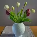Plastic tulips  screen for extension Chrome web store in OffiDocs Chromium