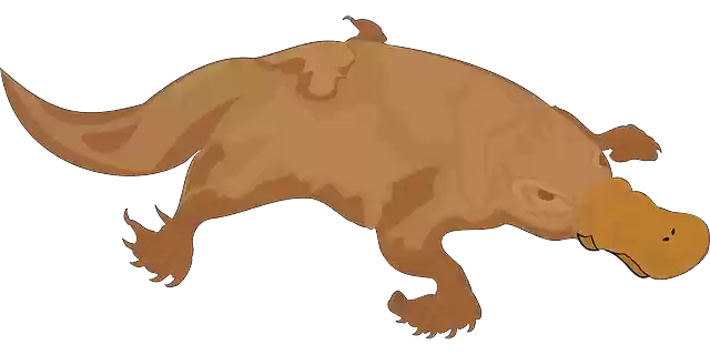 Free download Platypus Brown Bill - Free vector graphic on Pixabay free illustration to be edited with GIMP free online image editor