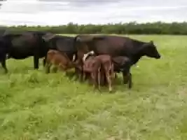 Free download Playzall Images free photo or picture to be edited with GIMP online image editor