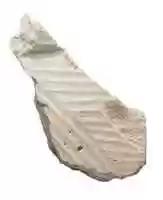 Free download Pleated garment, relief (?) free photo or picture to be edited with GIMP online image editor