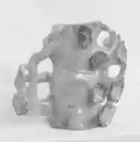 Free download Plum-Tree Vase free photo or picture to be edited with GIMP online image editor