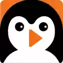 PNGuin Safezone Video Overlay  screen for extension Chrome web store in OffiDocs Chromium