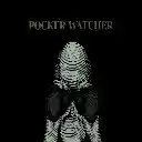 pocketwatcher  screen for extension Chrome web store in OffiDocs Chromium