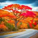 Poetic autumn road wallpaper  screen for extension Chrome web store in OffiDocs Chromium