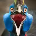 Poetry Slam Presentation App  screen for extension Chrome web store in OffiDocs Chromium