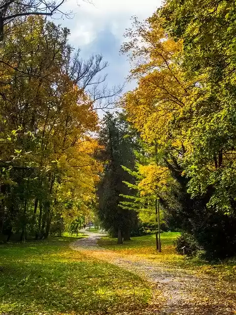 Free download Poland The Capital Of Autumn -  free photo or picture to be edited with GIMP online image editor