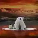 Polar bear and penguin wallpaper  screen for extension Chrome web store in OffiDocs Chromium