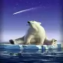 Polar bear sitting on rock wallpaper  screen for extension Chrome web store in OffiDocs Chromium